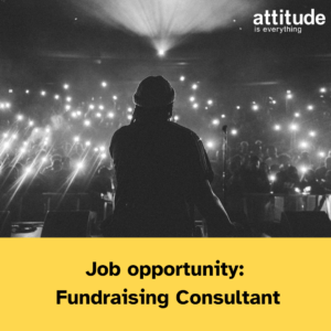 Job: Fundraising Consultant