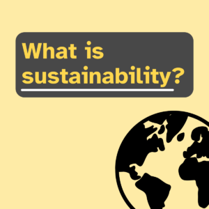 What is sustainability?